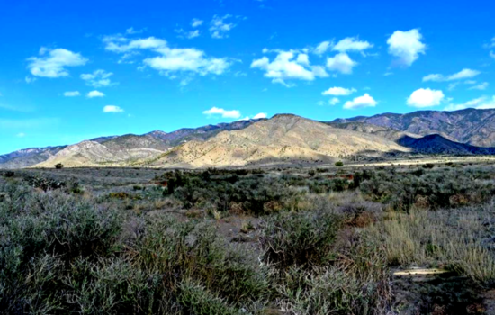 Remote Desert Getaway! Come Explore Valencia, NM!